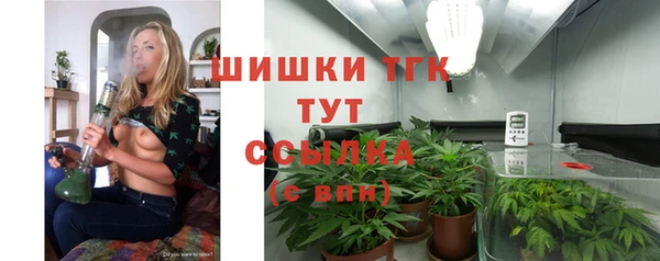 хмурый Волоколамск